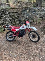 Honda XL 350 R 1983 - iscritta FMI - HONDA 350 X