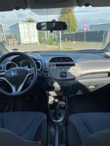 Honda Jazz 1.2 Trend 2 Hand - Honda Gebrauchtwagen in Bonn
