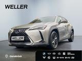 Lexus UX 250h Amazing Edition *Bi-LED*ACC*CAM*CarPlay* - Lexus UX aus 2020