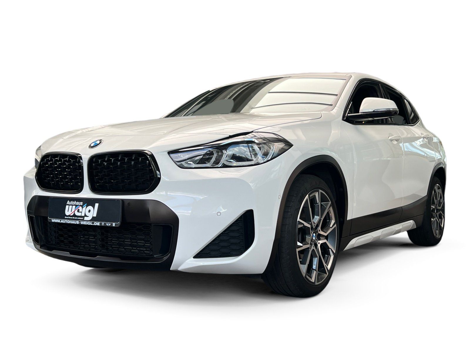 Fahrzeugabbildung BMW X2 xDrive20i M Sport Mesh Edition +LED+Navi+Lede