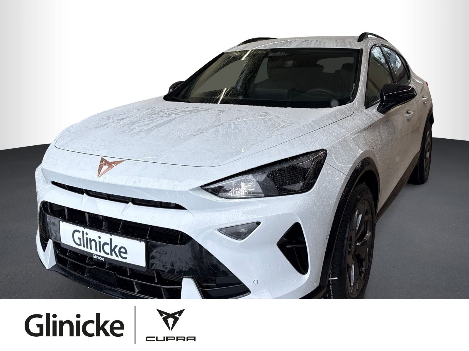 Cupra Formentor 1.5 e-HYBRID, AHK, Ganzjahresreifen, S