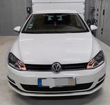 Volkswagen Golf 1.6 TDI 4MOTION BMT Alltrack Alltrack - Volkswagen Golf mit Diesel-Antrieb: 1.4