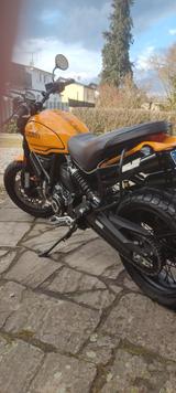 Ducati Scrambler 1100 Tribute Pro  - DUCATI SCRAMBLER 1100 PRO