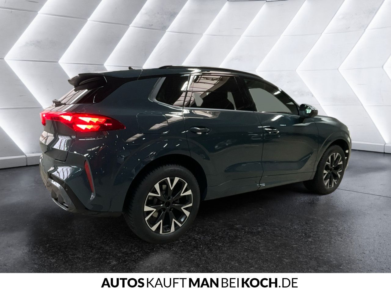 Cupra Terramar - Bild 7