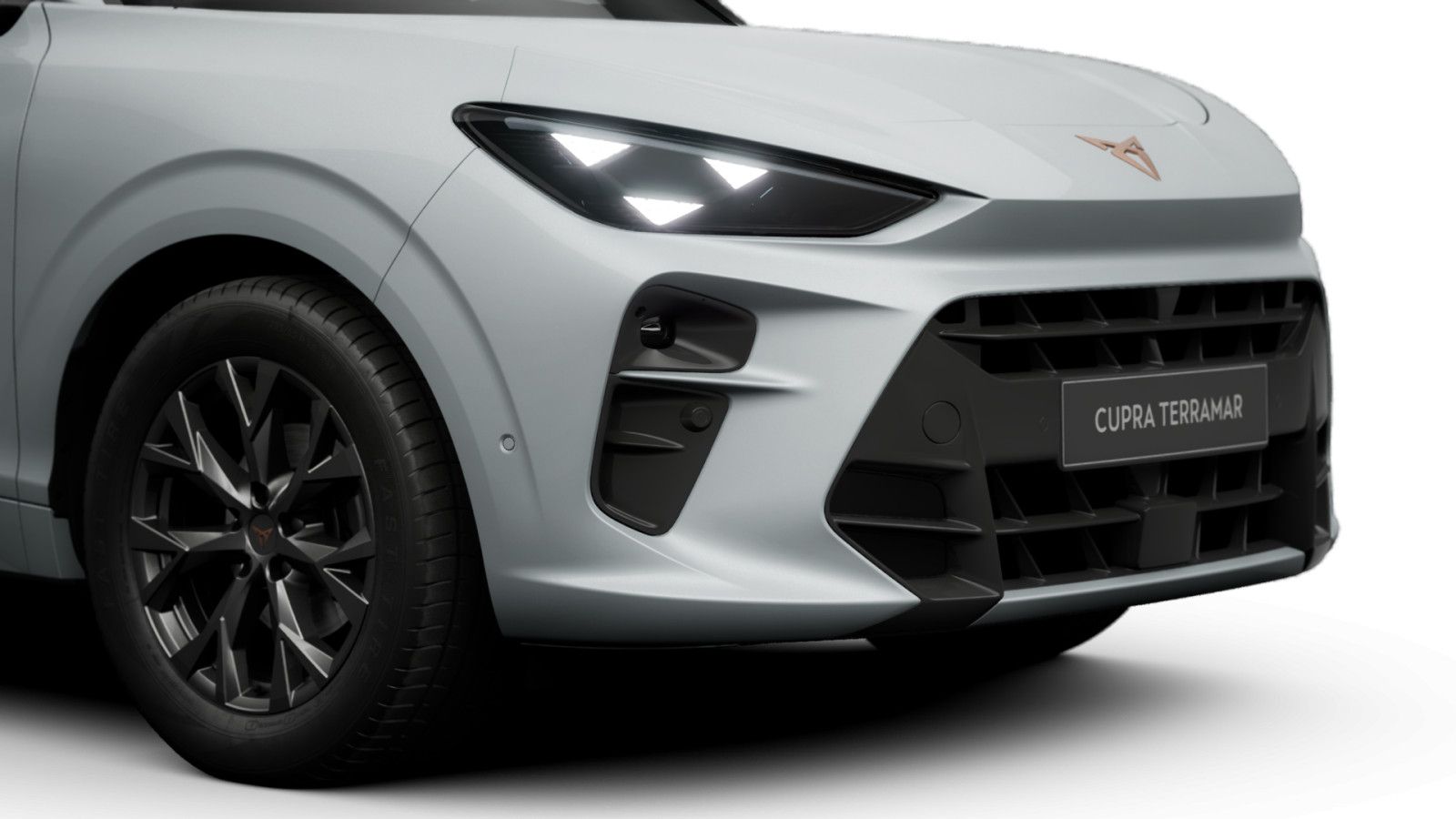 Cupra Terramar - Bild 8