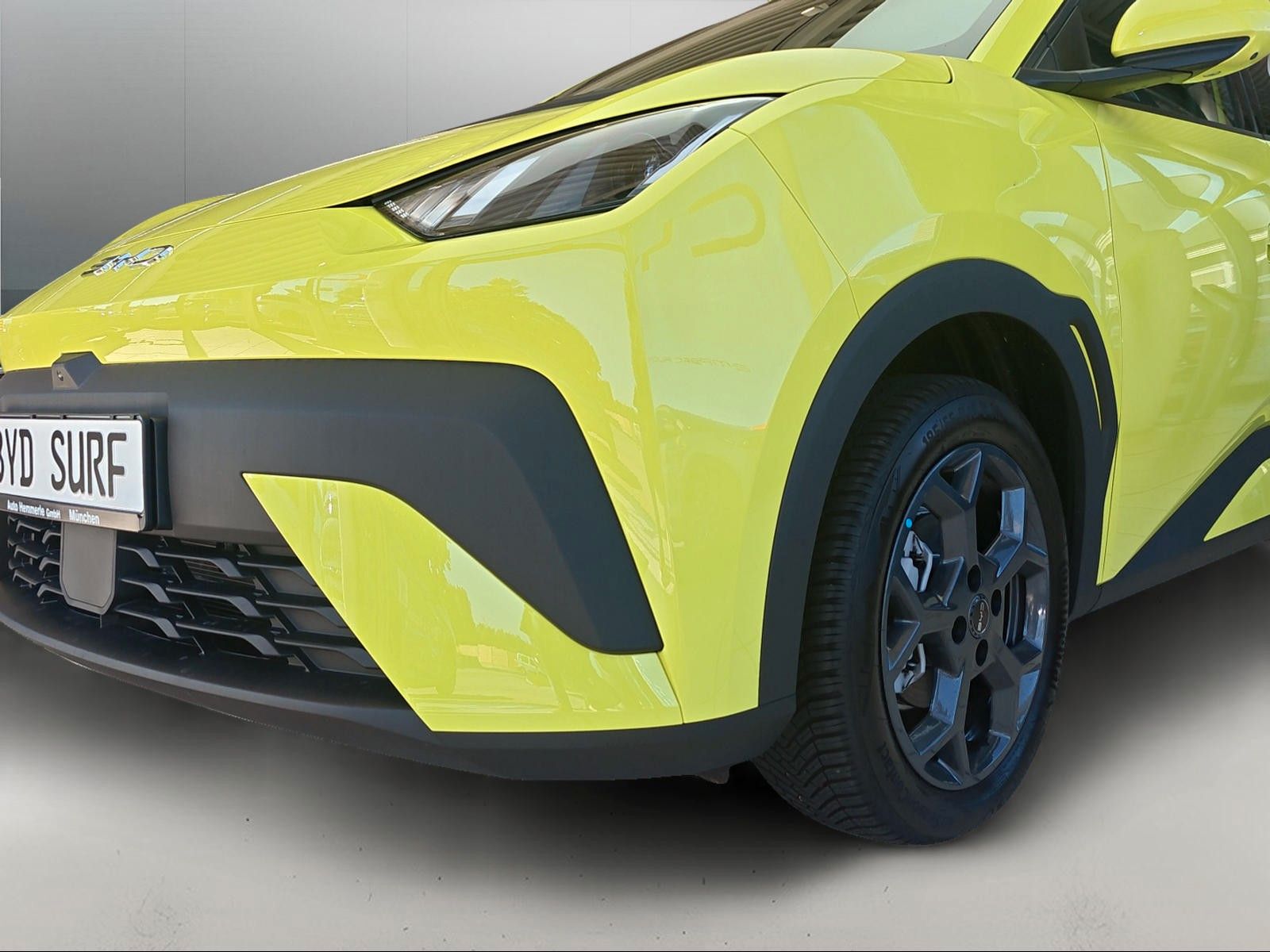 BYD DOLPHIN