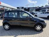 Fiat Panda 1.2 Dynamic KLIMA,TÜV 09/27,ALLWETTERREIFE - gebrauchte Fiat Panda aus dem Jahr 2008