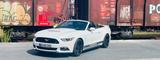 Ford Mustang 3.7 V6 US-Import mit Top Sound - Ford Mustang: Us