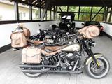 Harley-Davidson Slim S  110 cui - Motorräder in Solingen