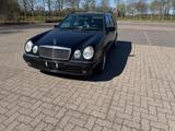 Mercedes-Benz E 55 T AMG  - Mercedes-Benz E 55 AMG: Kombi