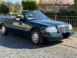 Mercedes-Benz Mercedes W124 220 Sportline - Mercedes-Benz 220: Roadster