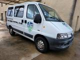 Peugeot boxer 2.2hdi 101PS 9 SITZER - Peugeot Boxer: 1.9