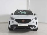 Cupra Formentor 2.0 TSI 4Drive DSG AHK/Matrix/StHz/RFK - Cupra Formentor in Kiel