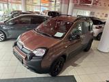 Fiat Panda Trussardi/seltenes Modell - gebrauchte Fiat Panda aus dem Jahr 2021