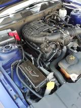 Ford Mustang 2014 3.7 V6 Shelby Optik - Ford Mustang Gebrauchtwagen in Duisburg