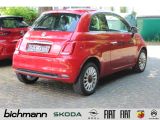 Fiat 500 (RED) 1.0 Klima Pano PDCh Alu 8-fach DAB USB - Fiat 500: R