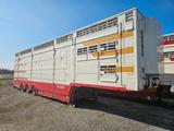 Pezzaioli SBA 31 - Pezzaioli LKWs
