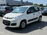 Fiat Panda Pop 1.2i - Fiat Panda: Weiß