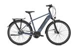Raleigh Bristol 5 stoneblue matt 2022 - | L - Raleigh E-Bikes