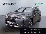 Lexus UX 250h Style Edition *Bi-LED*ACC*CAM*SHZ*CarPla - Lexus UX in Leipzig