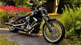 Harley-Davidson Breakout Fxsb 103 cui