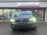 Skoda Karoq 2.0l TDI DSG 4x4 SPORTLINE - Skoda: Grün