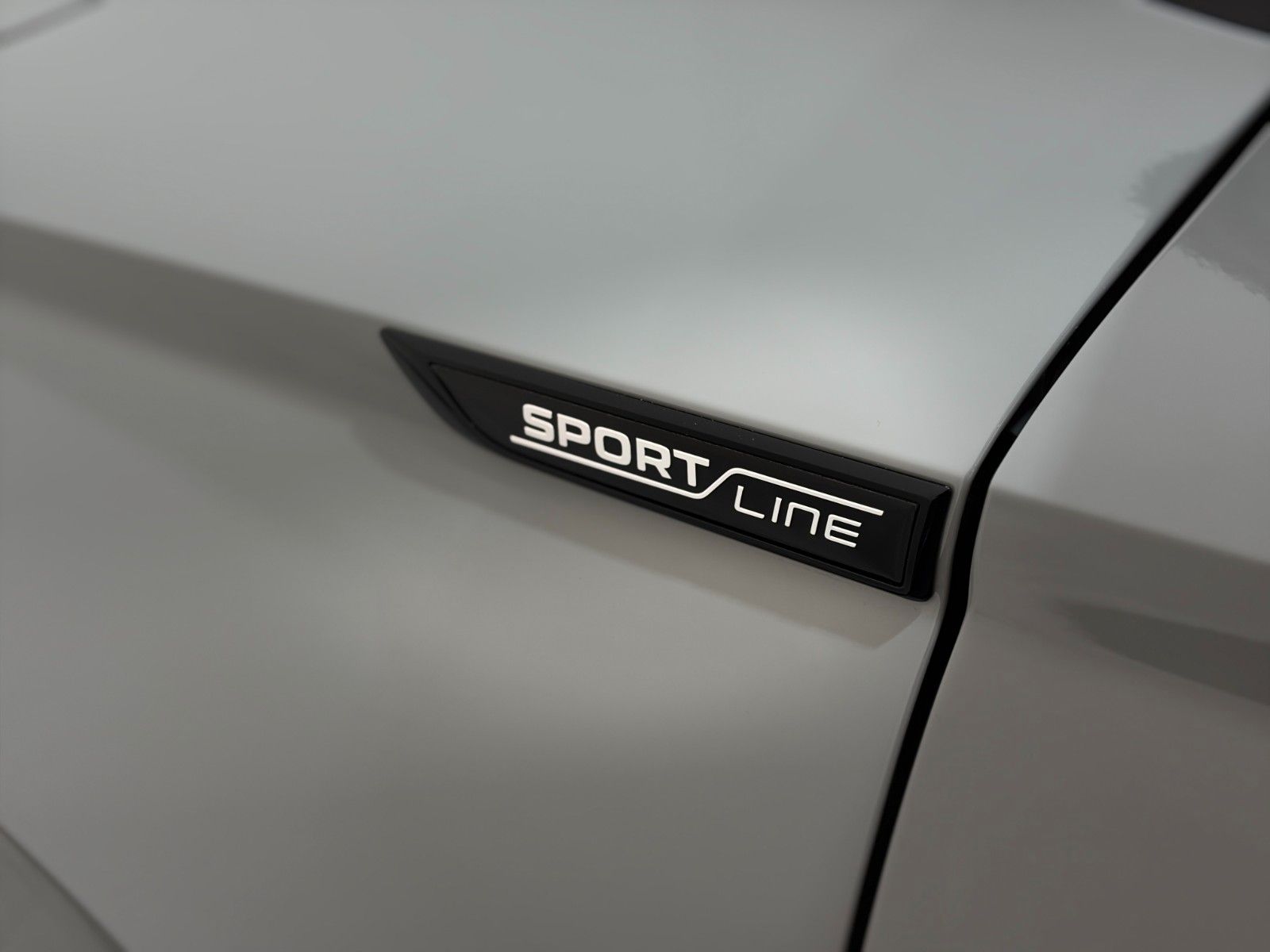 Fahrzeugabbildung SKODA Karoq Sportline / AHK