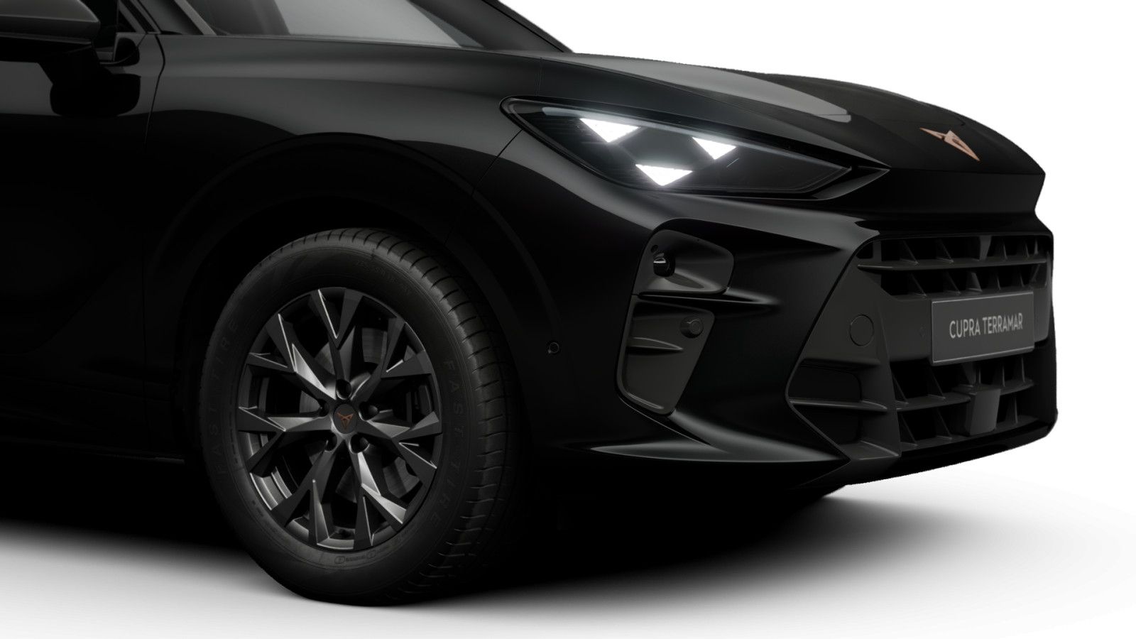 Cupra Terramar - Bild 4