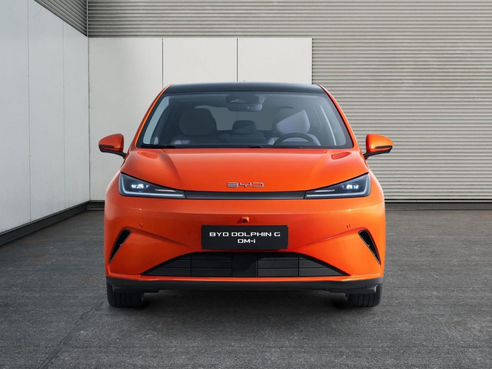 BYD DOLPHIN