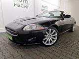 Jaguar XK 4,2 V8 Cabriolet, Xenon, Navi, SHZ, deutsch - Jaguar XK: Cabrio