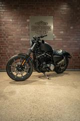 Harley-Davidson XL883N Sportster IRON 883 MILLER - HARLEY-DAVIDSON CHOPPER SPORTSTER 883 IRON