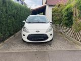 Ford Ka/Ka+ 1,2 Titanium Titanium - Ford Ka/Ka+: Titanium