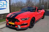 Ford Mustang 2.3 EcoBoost Auto - - Ford Mustang mit Panoramadach
