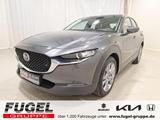 Mazda CX-30 Exclusive-Line 2WD Navi|HuD|LED|ACC|RFK - Mazda CX-30 aus 2023