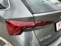 Skoda Octavia - Vorschau Bild 17