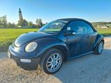 Volkswagen New Beetle 1.4 Cabriolet Standard - Volkswagen New Beetle Standard mit Benzin-Antrieb