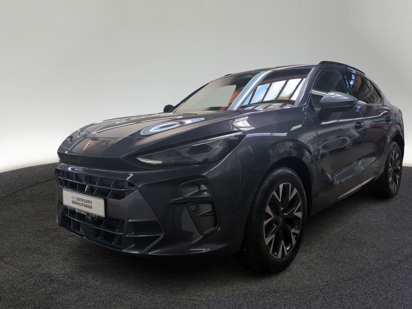 Cupra Terramar - Bild 2