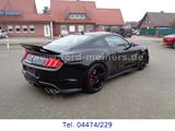 Ford Mustang Shelby GT500 *NEUWAGEN* sofort verfügbar - Ford Mustang: Shelby Gt500