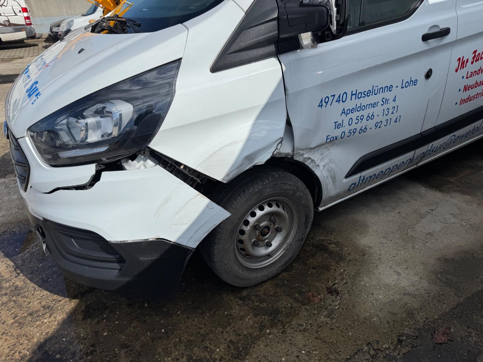 Ford Transit Custom Kasten 260 L1 Startup