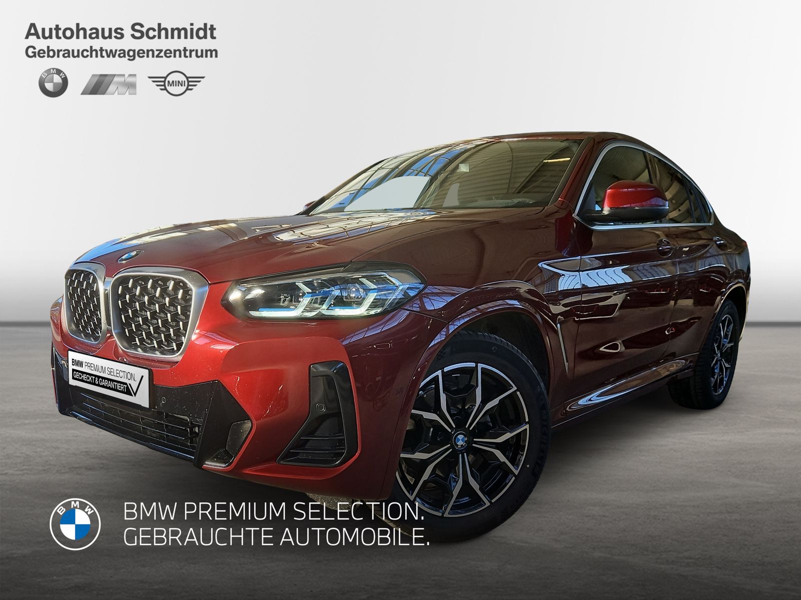 BMW X4 xDrive20d M Sportpaket Head-Up HiFi DAB WLAN