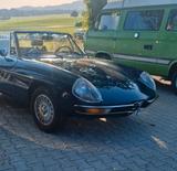 Alfa Romeo Spider - Alfa Romeo Gebrauchtwagen von 1978
