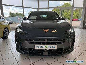 Cupra Terramar - 2