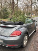 Volkswagen VW Beetle Cabrio 2.0 TDI Design - VW Beetle Gebrauchtwagen in Bremen