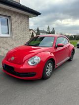 Volkswagen VW Beetle 1.6 TDI | Diesel | 77 kW (105 PS... - Volkswagen Beetle aus 2012 mit Diesel-Antrieb