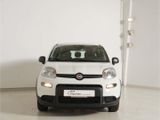 Fiat Panda 1.0 GSE Hybrid - Fiat Panda in Osnabrück