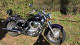 Honda Shadow VT750 RC44 | angemeldet | HU | fahrbereit - HONDA SHADOW RC44