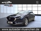 Mazda CX-30 Selection 2WD Bluetooth Head Up Display - Mazda CX-30 in München