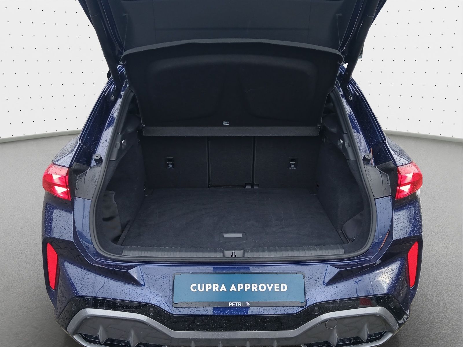 Cupra Terramar - Bild 13