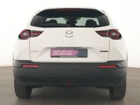 Mazda MX-30 - Vorschau Bild 7