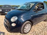 Fiat 500 1.2 by Gucci - Fiat: Gucci